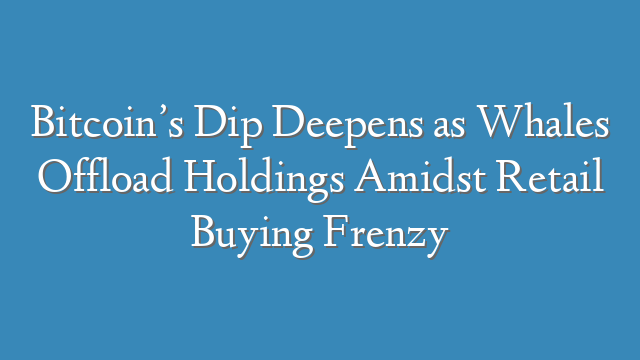 Bitcoin’s Dip Deepens as Whales Offload Holdings Amidst Retail Buying Frenzy